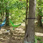 Mazurzanka - Leśny W Bajkowym Zakątku *