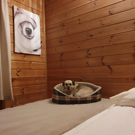 Mazurzanka - Lesny W Bajkowym Zakatku Casa vacanze