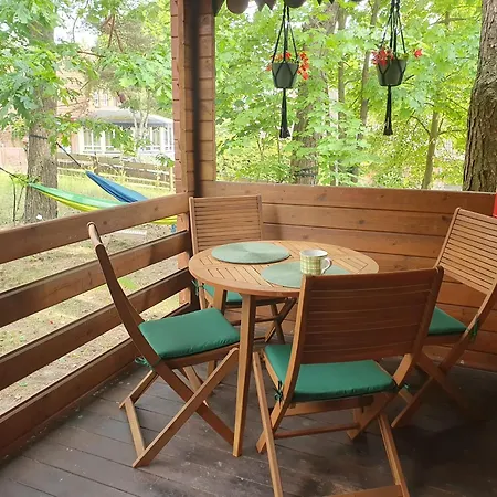 Mazurzanka - Lesny W Bajkowym Zakatku *