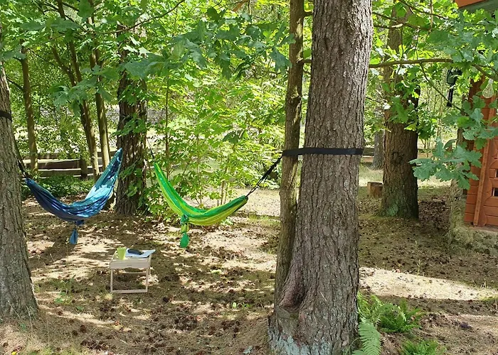 Mazurzanka - Lesny W Bajkowym Zakatku *