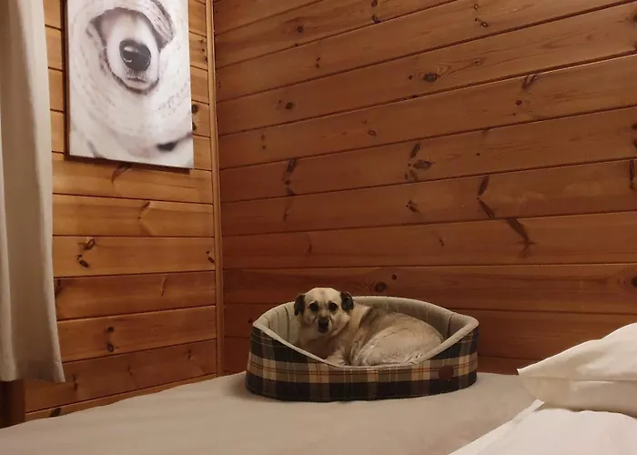 Mazurzanka - Lesny W Bajkowym Zakatku Prázdninový dům