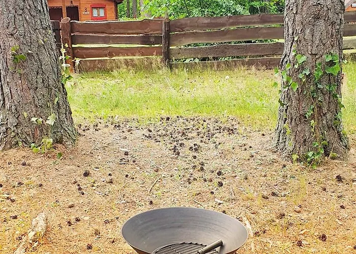 Mazurzanka - Lesny W Bajkowym Zakatku